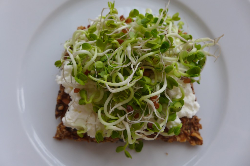 Super-healthy crispbread