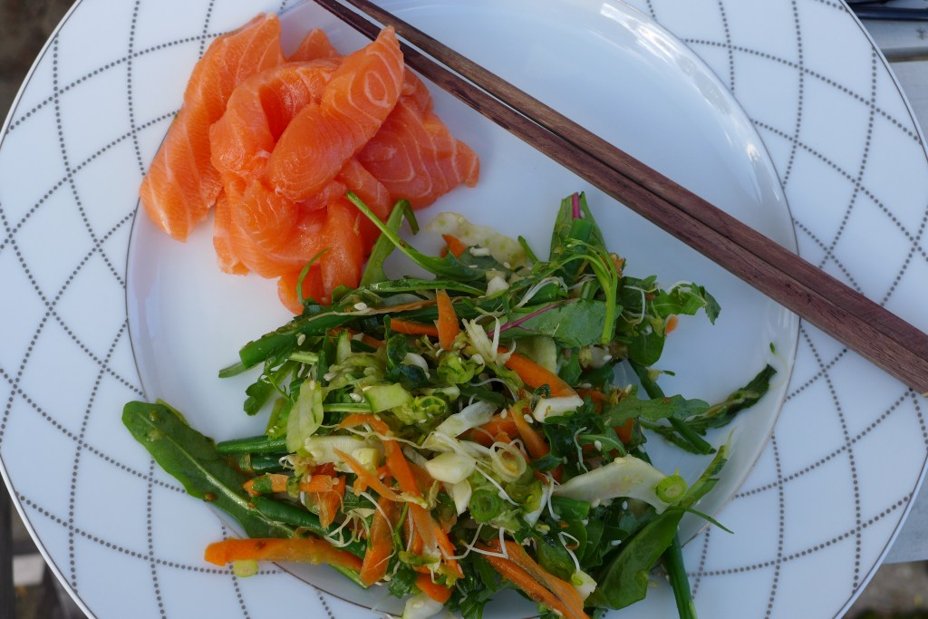 Sashimi and raw food salad