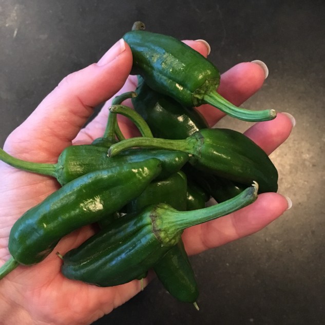 Pimientos de Padronés